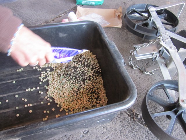 Snap Peas, Inoculant, and Seeder