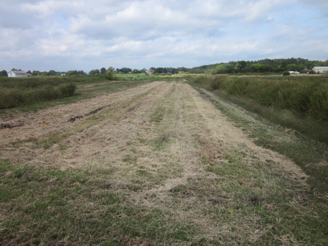 Goodbye Summer Squash